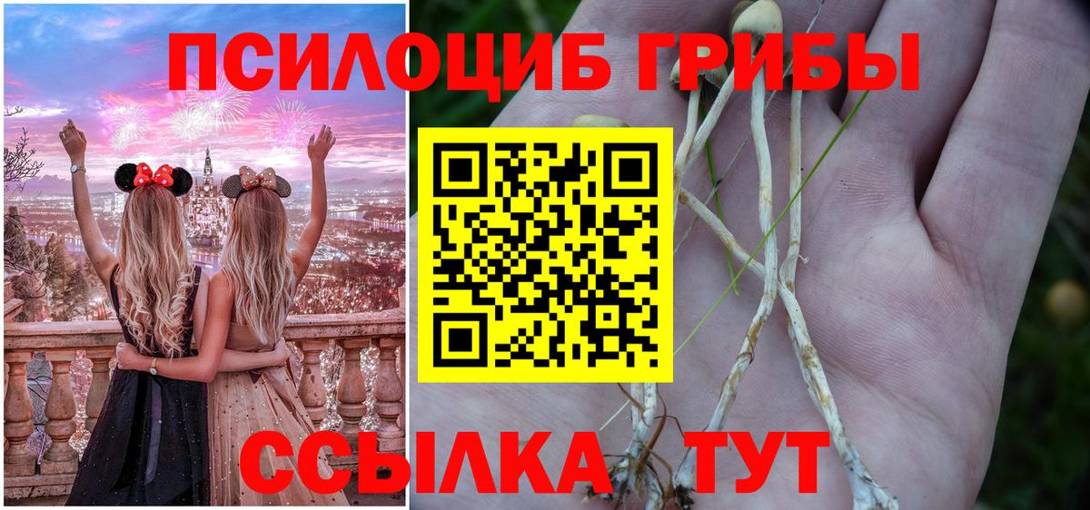 Псилоцибиновые грибы прущие грибы Дедовск