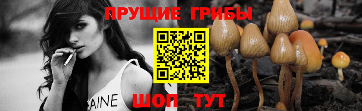 Дедовск  Галлюциногенные грибы Magic Shrooms  Вход с VPN  Псилоцибиновые грибы Psilocybine cubensis 